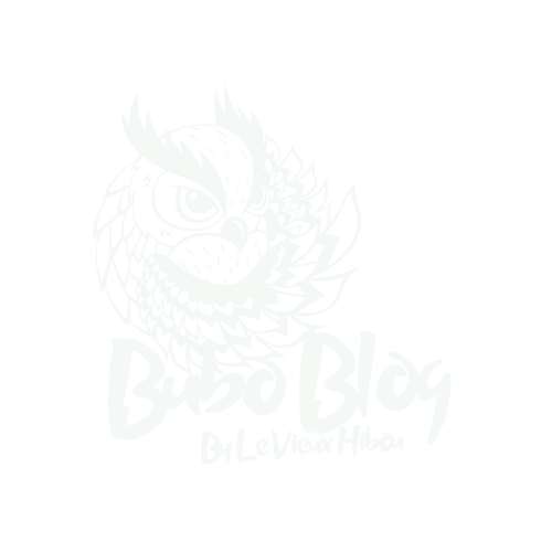 Logo Bubo Blog Blanc 2