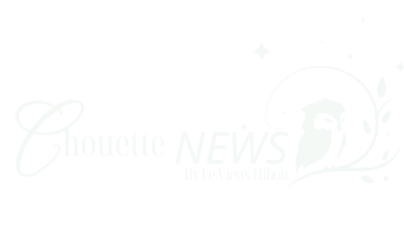 Logo Chouette News Blanc edited 5