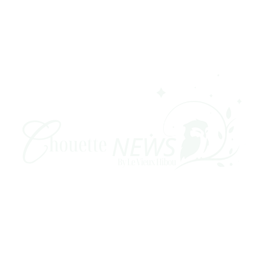 Logo Chouette News Blanc