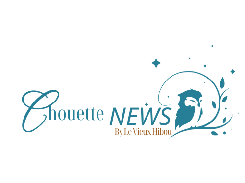 Logo Chouette News Bleu edited